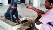 Dog Temples In India: देव-देवतांची नाही तर भारतातील &#039;या&#039; मंदिरांमध्ये केली जाते कुत्र्यांची पूजा