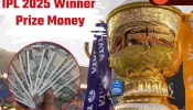 IPL 2025 जिंकणाऱ्या संघाला किती मिळणार बक्षिसाची रक्कम? Playoff मधील संघांनाही मिळणार भरघोस पैसे 