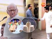 ठाकरे बंधू एकत्र येण्यावरुन पवारांचा टोला; उद्धव ठाकरेंचं नाव घेत म्हणाले, &#039;राज ठाकरेंच्या...&#039;