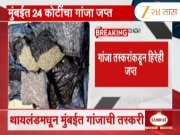 मुंबई विमानतळावर 24 कोटींचा गांजा जप्त; सीमाशुल्क विभागाकडून 3 गांजा तस्करांना अटक