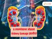 कायम राहतो थकवा, बॅकपेन... किडनी डॅमेजच्या 6 संकेतांवरुन ओळखा सद्यस्थिती 