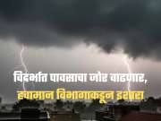 Weather Update : विदर्भात पावसाचा जोर वाढणार, हवामान विभागाकडून सतर्कतेचा इशारा