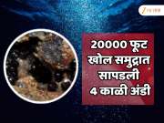 20000 फूट खोल समुद्रात सापडली 4 काळी अंडी; भयानक संशोधनामुळे वैज्ञानिक अचंबित 