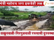 शाळेसाठी रोज चिखलातून प्रवास; मोखाड्यातील विद्यार्थ्यांचे हाल