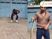 Video: माणसांपाठापोठ सोनू सूद झाला प्राणी मित्र, सर्पमित्रालाही लाजवेल असा व्हिडीओ
