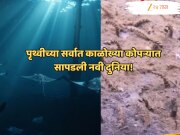 समुद्रात 31 हजार फूट खोलीवर दिसले एलियनसारखे प्राणी! पाहून शास्त्रज्ञही चक्रावले!