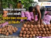 श्रावणात नारळाच्या दरात उसळी; तीन दिवसांत 1600 टन विक्री,  एका नारळाचा दर किती?