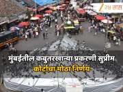 कबुतरखाना प्रकरणी सुप्रीम कोर्टाचा मोठा निर्णय, या पुढे दादरमधील कबुतरांना...
