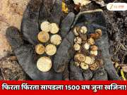  फिरता फिरता सापडला 1500 वर्ष जुना खजिना! 24 कॅरेट शुद्ध सोन्याची 631 नाणी आणि...