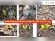 भयंकर! कवटी, हाडं, केस अन्...महाराष्ट्रातील 'या' जंगल परिसरात मानवी अवशेष सापडल्यानं खळबळ भयंकर! कवटी, हाडं, केस अन्...महाराष्ट्रातील 'या' जंगल परिसरात मानवी अवशेष सापडल्यानं खळबळ