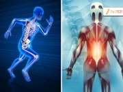 खिळखिळी झालेली हाडे, सांधेदुखीने हैराण झालात? पाण्यात &#039;या&#039; 3 गोष्टी उकळून प्या, हाडे 100% मजबूत होतील 