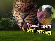 बिबट्यांची दहशत महिलांची शक्कल, बिबट्यापासून संरक्षण व्हावं म्हणून गळ्यात खिळे असलेले पट्टे