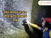 111000 पेक्षाही जास्त कोळी अन् 1076.4 चौरस फुटांचं जाळं; शास्त्रज्ञांनाही थक्क करणारा Video 