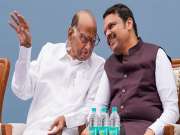 महाराष्ट्रात निवडणुकींच्या पार्श्वभूमीवर पवार-फडणवीसांच्या उठबस; एकत्र PHOTO मुळे भुवया उंचावल्या!