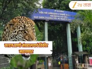 Katraj Zoo Ticket Price Hike: 1 डिसेंबरपासून कात्रज प्राणी संग्रहालय महागणार! कोणाला किती पैसे द्यावे लागणार? सविस्तर माहिती