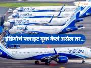 14000 उड्डाणे रद्द! मुंबई, दिल्लीसह बंगळुरूहून 8 डिसेंबरपर्यंत आणखी फ्लाइट रद्द होणार, तर 10 फेब्रुवारीपर्यंत उड्डाणे...