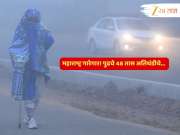 गारेगार! महाराष्ट्रात पुढचे 48 तास थंडीच्या लाटेचे; कोणत्या भागांमध्ये पडणार हाडं गोठवणारा गारठा? 