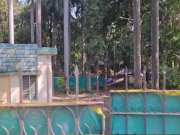 Pune Land: अमेडिया कंपनीला धक्का, बुडवलेल्या 210000000 दस्तनोंदणी संदर्भात मोठा निर्णय!