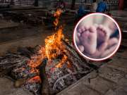 'माझी बायको बाळंत होणारेय, प्लीज पैसे द्या बाबा...' नकार मिळाल्याने मुलाने संपल आयुष्य; अंत्यसंस्काराच्या 7 तासांनी....'