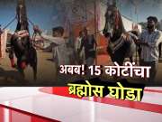 देशभरात जिथं-तिथं चर्चा, लक्झरी कारपेक्षा महाग सारंगखेड्याचा 'ब्रह्मोस' घोडा!