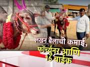 छत्रपती संभाजीनगरात 'लखन' बैलाची चर्चा, जिंकवून दिल्या 16 बाईक आणि फॉर्च्युनर 