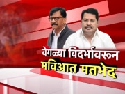 विदर्भाच्या मुद्द्यावरून महाविकास आघाडीतच मतभेद