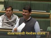 महावितरणाने रेकॉर्ड केला, शेतकरी खूष कारण...; फडणवीसांनी सांगितली Good News