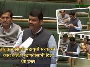 शेतकऱ्यांसाठी महायुती सरकारने काय केलं? फडणवीसांनी विधानसभेत कामांचा पाढाच वाचून दाखवला