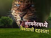 अंगणात खेळता खेळता 5 मिनिटांत चिमुकल्याचा मृत्यू, संगमनेरमधील धक्कादायक प्रकार, नेमकं काय घडलं?