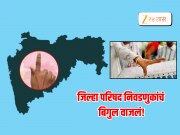 जिल्हा परिषदांचं बिगुल वाजलं! 'या' तारखेला मतदान तर निकालाची तारीख....