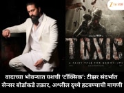 वादाच्या भोवऱ्यात यशची ‘टॉक्सिक’: टीझर संदर्भात सेन्सर बोर्डाकडे तक्रार, अश्लील दृश्ये हटवण्याची मागणी