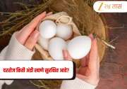 Eating Eggs: दररोज किती अंडी खाणे सुरक्षित आहे? जाणून घ्या तज्ञांकडून 