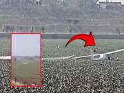 मोठी दुर्घटना! शहराच्या मधोमध कोसळलं भारतीय हवाई दलाचं विमान, विद्यार्थ्यांनी तलावात मारल्या उड्या 