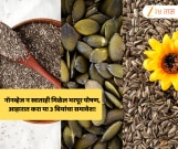 नॉनव्हेज न खाताही मिळेल भरपूर पोषण, आहारात करा या 3 बियांचा समावेश!