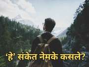 Good Luck Signs: प्रवासाला जाताना दिसणारे 'हे' संकेत शुभ की अशुभ? शास्त्रात काय सांगितलंय? जाणून घ्या