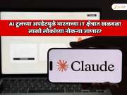 एका AI टूलच्या अपडेटमुळे भारताच्या IT क्षेत्रात मोठी खळबळ! लाखो लोकांच्या नोकऱ्या जाणार? 24 तासांत 2000000000000 रुपयांचा चुराडा