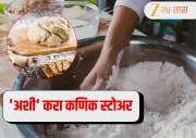 Flour Storage Tips: 'अशी' करा कणिक स्टोअर, जास्त काळ राहील ताजं आणि वासही येणार नाही