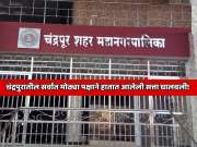 चंद्रपुरातील सर्वात मोठ्या पक्षाने हातात आलेली सत्ता  घालवली! भाजपने सत्ता काबीज केल्यावर मोठी कारवाई; संपूर्ण शहर कार्यकारिणी बरखास्त 