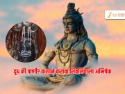 Mahashivratri 2025 : महाशिवरात्रीला शिवलिंगावर दुध की पाणी? काय अर्पण करणं योग्य?