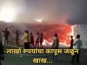  Massive Fire: 120000000 रुपयाचा कापूस जळून खाक,तर एक होरपळून जखमी