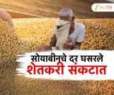 सोयाबीनच्या दरात घसरण, आयात निर्यात धोरणात बदल करण्याची शेतकऱ्यांची मागणी
