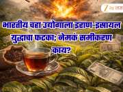 भारतीय चहा उद्योगाला इराण-इस्रायल युद्धाचा फटका; नेमकं हे समीकरण काय?