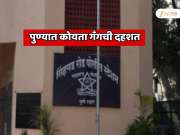 पुण्यात कोयता गँगचा धुमाकूळ; 19 वर्षीय तरुणाच्या हत्येचे कारण जाणून पोलिसही हादरले  