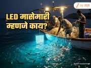 Explained: LED मासेमारी म्हणजे काय आणि याला विरोध का होतो? 
