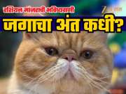 2027 मध्ये जगाचा अंत? रशियन मांजराच्या भविष्यवाणीने खळबळ; बाबा वेंगांनाही ठरवलं खोटं; पाहून वाटेल आश्चर्य!