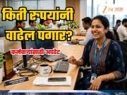 Explained: सरकारी कर्मचाऱ्यांसाठी मोठी खुशखबर; DA वाढीमुळे तुमच्या पगारात किती वाढ होईल? समजून घ्या गणित!