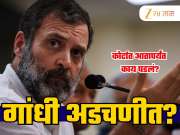 Explained: राहुल गांधींकडे दुहेरी नागरिकत्व? काय होऊ शकते कारवाई? कोर्टात आतापर्यंत काय घडलं?