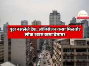 International GK: जगातील असे देश जिथे एकही झाड नाही, ऑक्सिजन कसा मिळतो? लोक श्वास कसा घेतात? एक देश तर जगात प्रसिद्ध, जाणून शॉक व्हाल