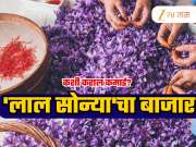 भारतात वेगाने वाढतोय 'लाल सोन्या'चा बाजार, किंमत 3 लाख रुपये किलो; तुम्ही घरी करु शकता तयार!