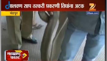 चंद्रपुरात दुर्मिळ सापांची तस्करी, तिघांना अटक